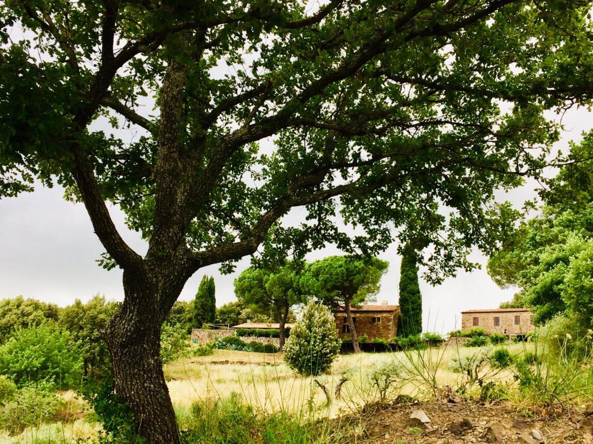 Nocini Di Maremma Villa Tatti ภายนอก รูปภาพ