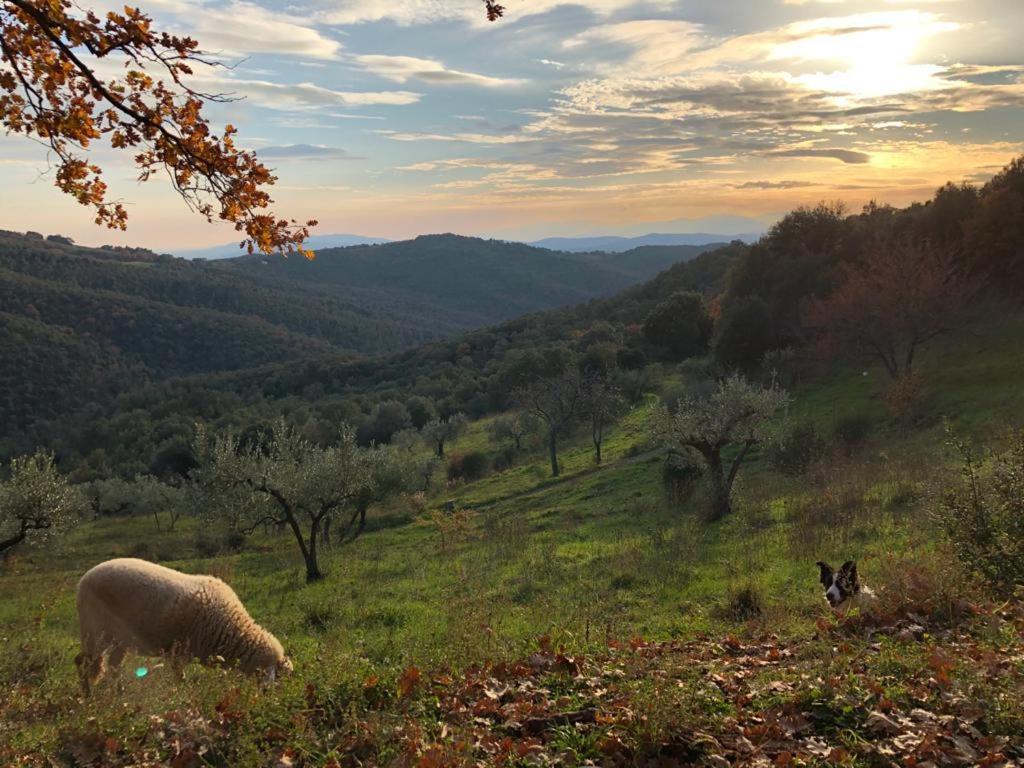 Nocini Di Maremma Villa Tatti ภายนอก รูปภาพ