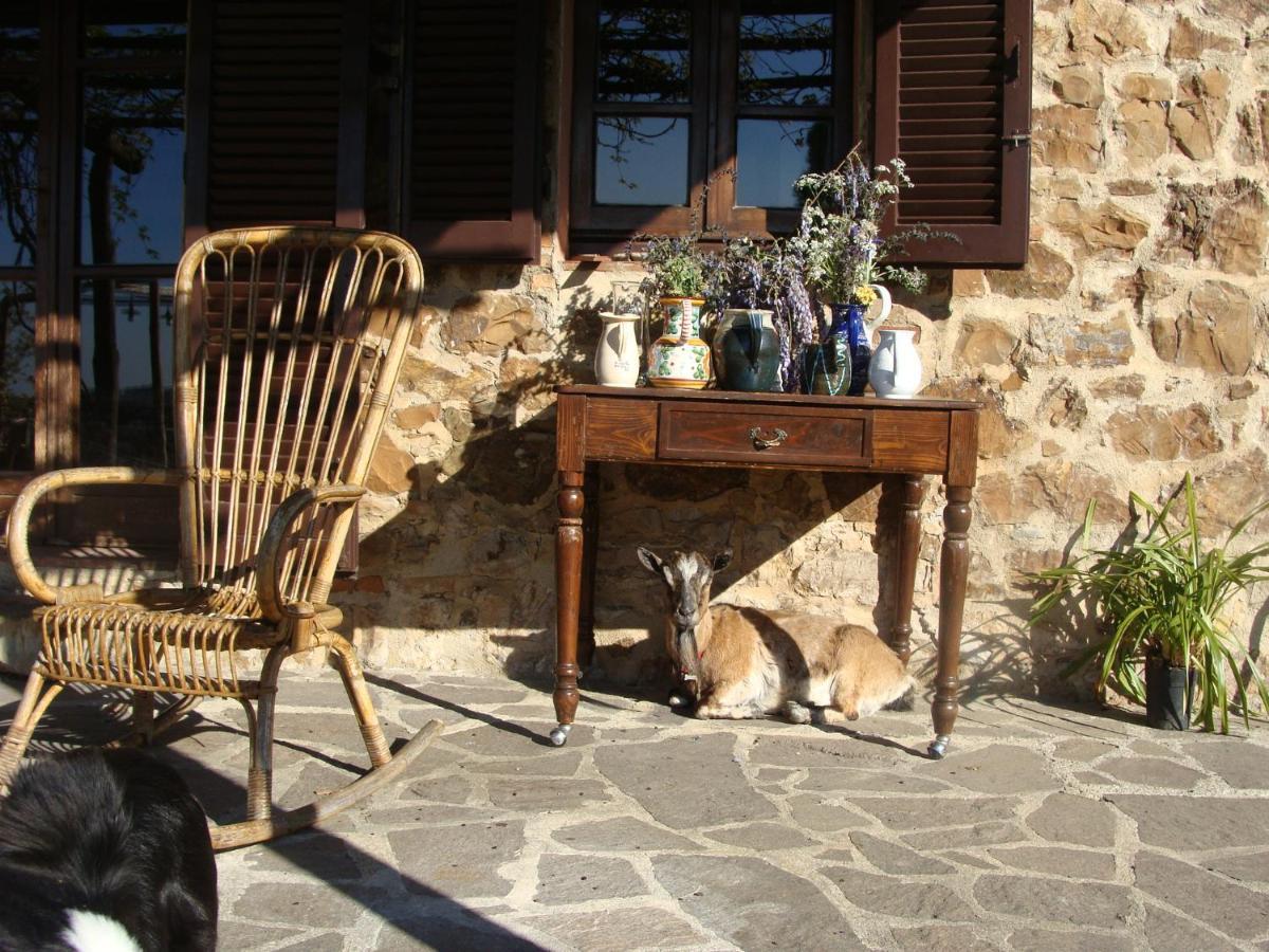 Nocini Di Maremma Villa Tatti ภายนอก รูปภาพ