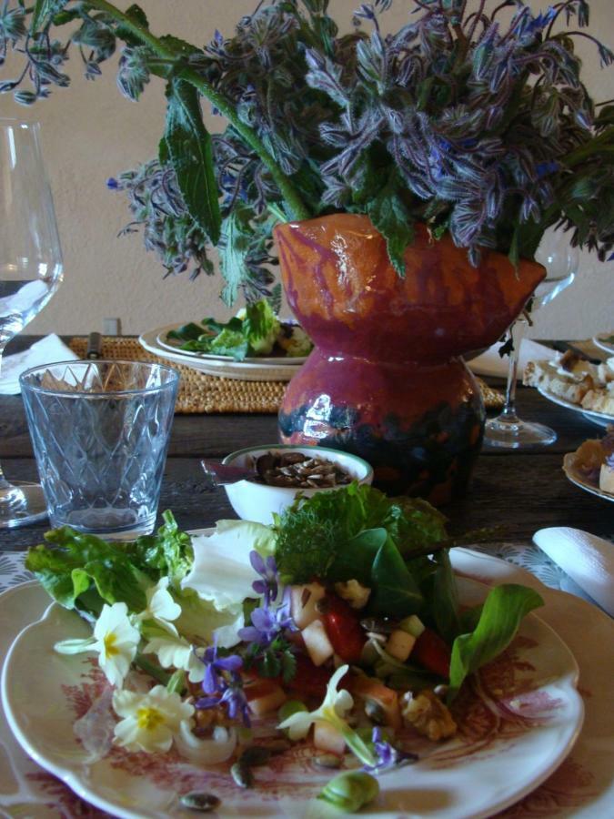 Nocini Di Maremma Villa Tatti ภายนอก รูปภาพ