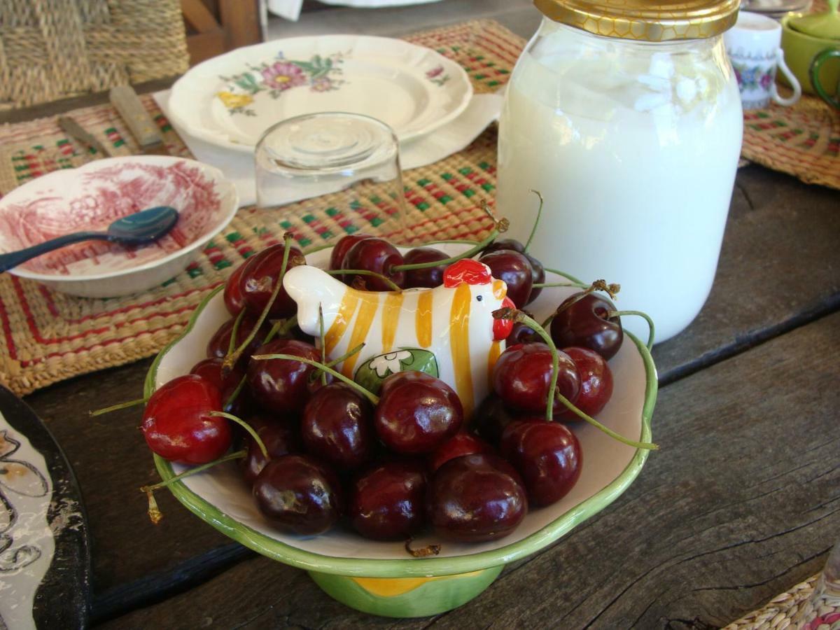 Nocini Di Maremma Villa Tatti ภายนอก รูปภาพ