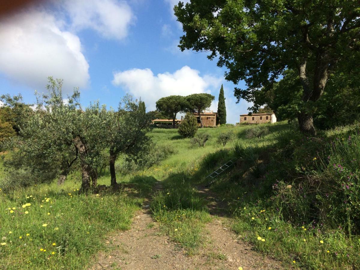 Nocini Di Maremma Villa Tatti ภายนอก รูปภาพ
