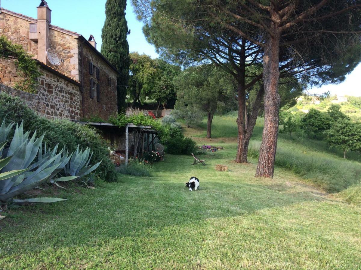 Nocini Di Maremma Villa Tatti ภายนอก รูปภาพ